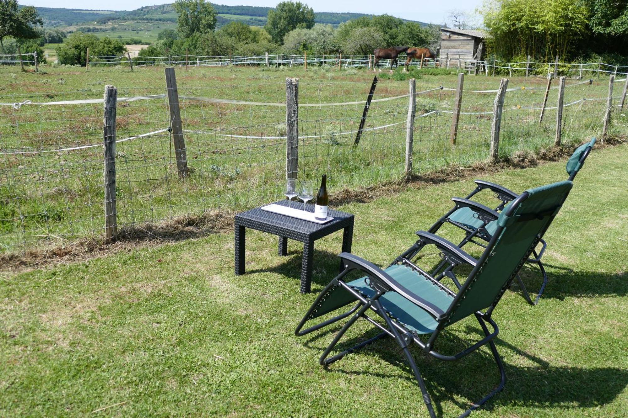 Les Grands Crus - Gite "Meursault" Corpeau Exterior photo